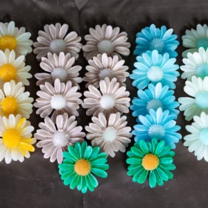 Daisy