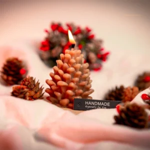Snow pinecone