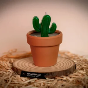 Succulent mini