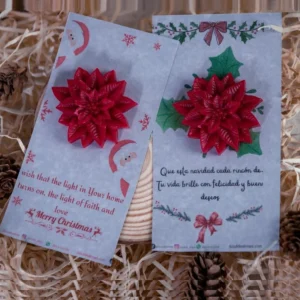Poinsettia