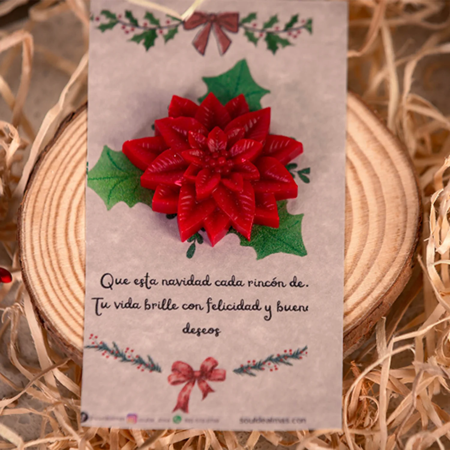 Poinsettia - Image 2