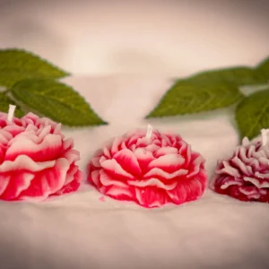 Peonies